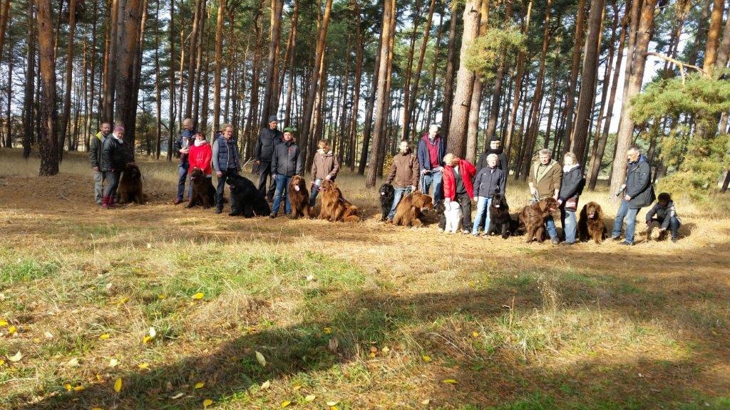 Haputbild konnte nicht geladen werden