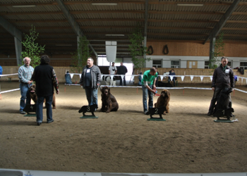 Bild(vereinsleben/bilder/Ausstellungen/04052014_2.png) konnte nicht geladen werden